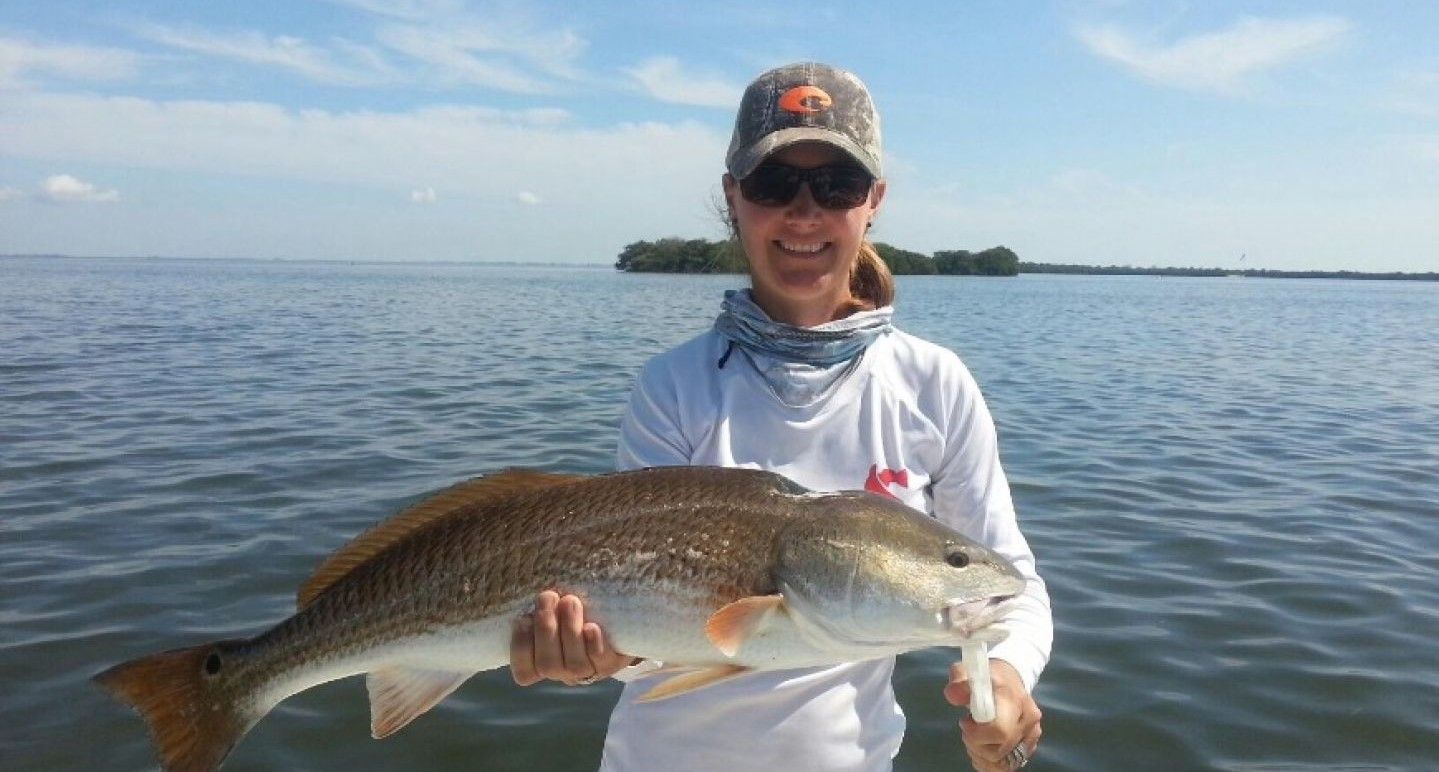 Sarasota Fishing Report